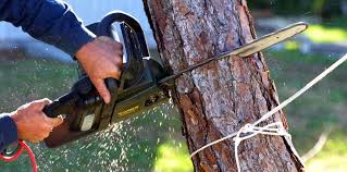 Best Lawn Maintenance Plans  in Baxley, GA