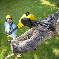 Best Lawn Pest Prevention  in Baxley, GA
