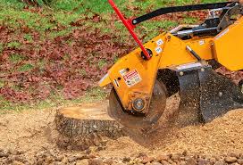 Best Utility Line Clearance  in Baxley, GA